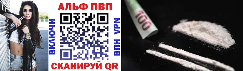 A PVP СК КРИС Обь