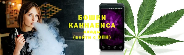 ГАЛЛЮЦИНОГЕННЫЕ ГРИБЫ Белоозёрский