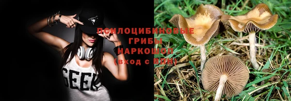 ГАЛЛЮЦИНОГЕННЫЕ ГРИБЫ Белоозёрский