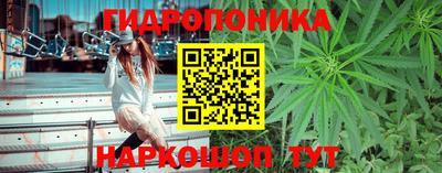 прущие грибы Партизанск