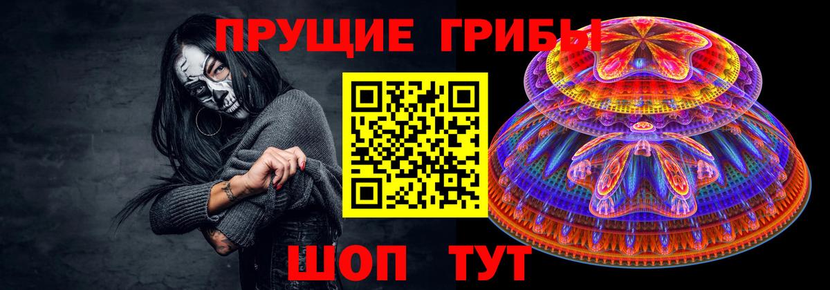 Псилоцибиновые грибы Psilocybe Обь